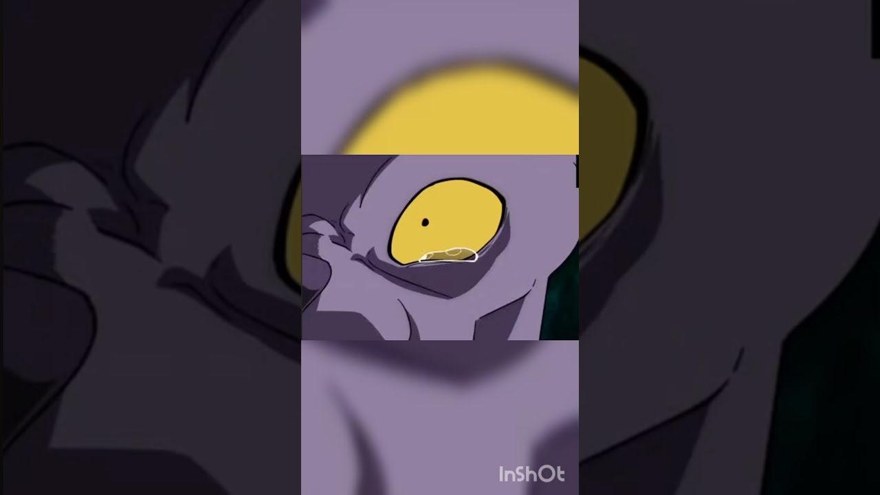 Beerus Angry For When Whis Death