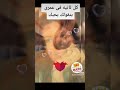 كل ثانيه فى عمرى بتقولك بحبك