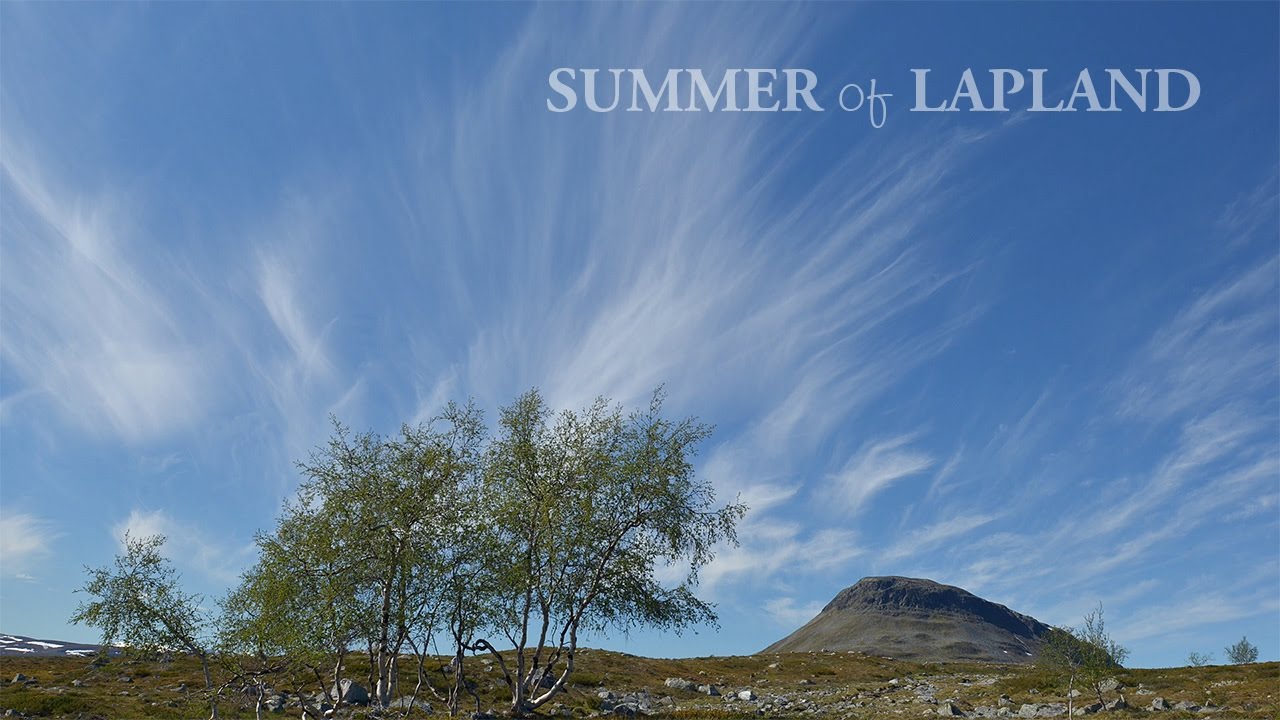 Lapin kesä // Summer of Lapland