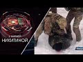 Экстренный вызов | 09 февраля 2021 | Происшествия Новосибирской области | Телеканал ОТС