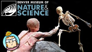 Massive Sprawling Museum!  Mummies!  Dinosaurs!  Space!  Skeletons! Denver Science and Nature Center