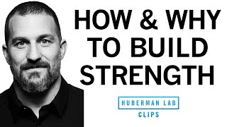 The '3 by 5' Protocol: How & Why to Build Your Strength | Dr. Andrew Huberman