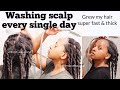 Washing Scalp every single Day Grew my hair faster &amp; thicker! 3 main things l really never shared!