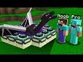 HOW ENDER DRAGON GET OUT of the PORTAL? in Minecraft Noob vs Pro