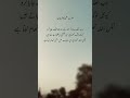 #Frmaan e Hazrat Ali R.a#islamicstatus #subscribe #shortvideo