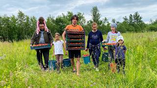 The Tough but Happy Life of a Large Family in the Village 🏡 Picking Strawberries, Spreading Manure🥔