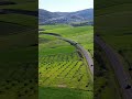 طبيعة مولاي ادريس زرهون الساحرة   