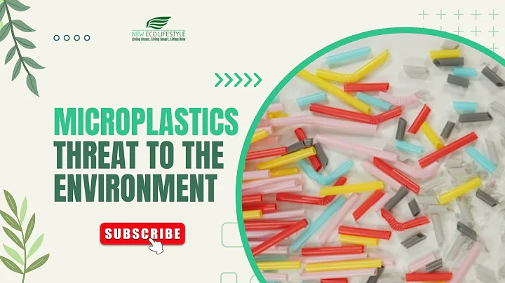 Microplastics   The Invisible Threat