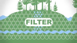 Forest Fast Break: Water