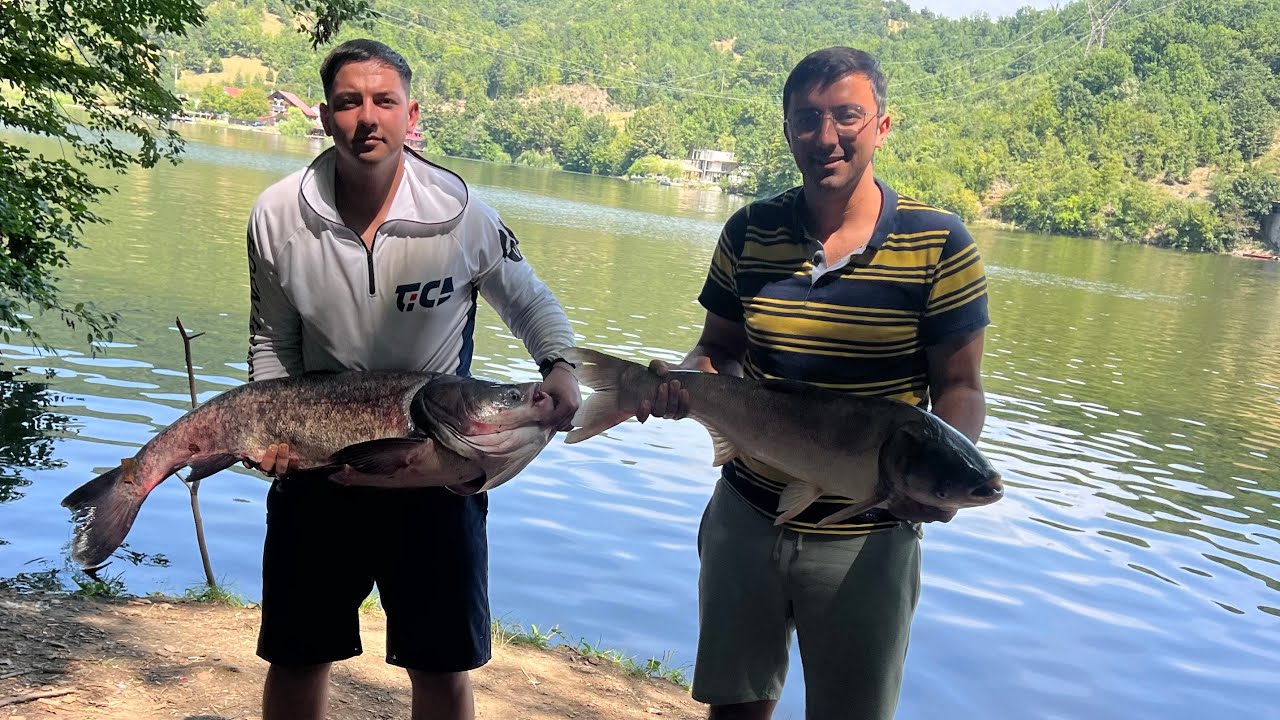 AȘA CEVA MAI RAR!!😱💪🏻 Pescuit de FITOFAGI URIAȘI pe DUNĂRE!! 14+