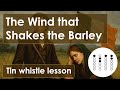 Learn The Wind that Shakes the Barley on Tin Whistle – Easy Irish Tune with Tabs