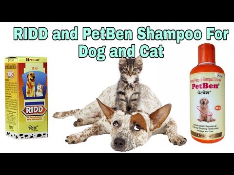 why-should-we-use-ridd-and-petben-shampoo-for-dog-and-cat-||-happypet