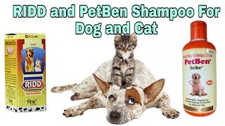 petben shampoo for dogs