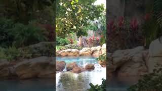 Discovery Cove Orlando introduction