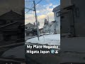 My Place Nagaoka Niigata Japan ❄️☃️