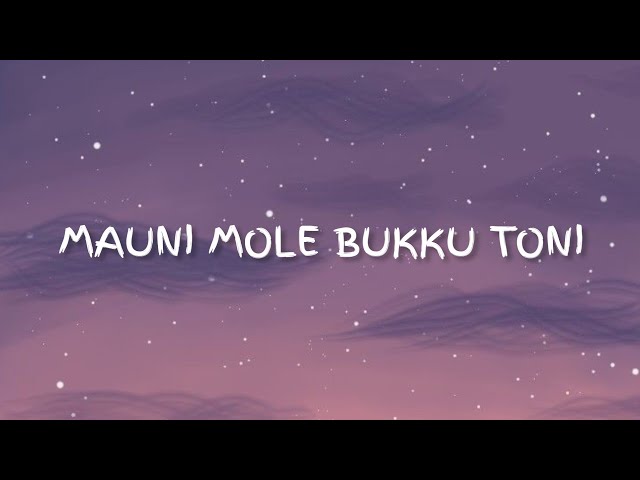 Mauni Mole Bukku Toni - Cover by. Leony Angel || Lirik Lagu Bugis || Terjemahan Indonesia class=