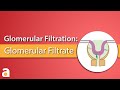 Glomerular filtration glomerular filtrate