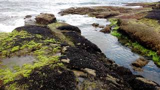 JIM DIAMOND - REMEMBER I LOVE YOU.