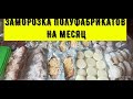 ЗАГОТОВКА ПОЛУФАБРИКАТОВ НА МЕСЯЦ