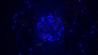Full Moon Nights at the OSHO Meditation Resort, Wild Drums and Deep Silence