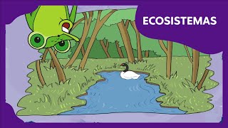 Ecosistemas | Planeta Darwin | Ciencias naturales 4º básico