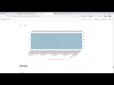Data Profiling Example