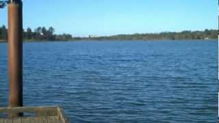 Vrbo Lincoln City Oregon Dog Friendly Vrbo Lincoln City Oregon Dog Friendly