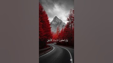 قرآن كريم بصوت جميل للقارئ أحمد العجمي #قرآن_كريم #quran #احمد_العجمي