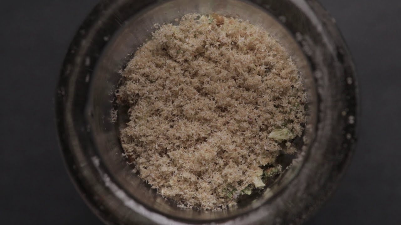 Kief On Cannabis Flower | Budsbie Burns (Ep.24)