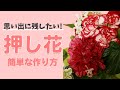 思い出に残したい！簡単な押し花の作り方