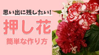 思い出に残したい！簡単な押し花の作り方