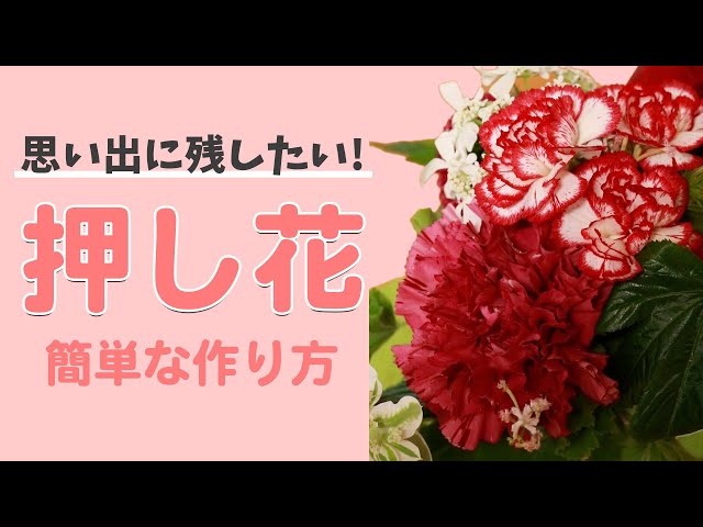 電子レンジで作る押し花NEW!