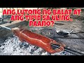 Malutong na balat at matipid sa uling.. Lechon baboy...#119