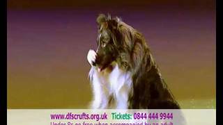 dfs Crufts 2011 TV Commercial
