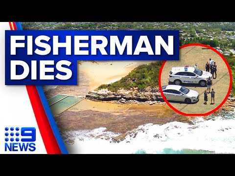 Fisherman dies after being swept off rocks on sydney's northern beaches | 9 news australia