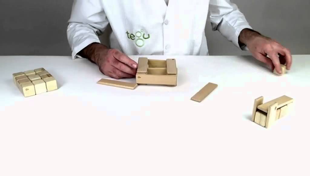 Magnetic Wooden Toys from Tegu - Building Gym Equipment