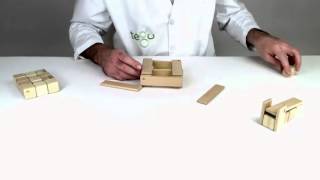 Magnetic Wooden Toys from Tegu - Building Gym Equipment