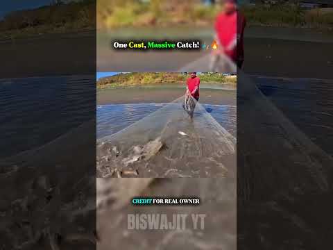 One Cast, Massive Catch! 🎣🔥