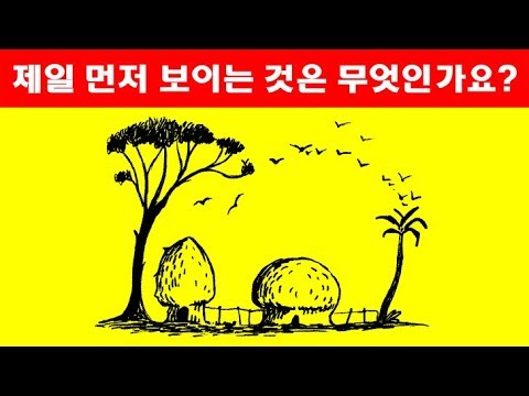 시력 및 성격을 테스트하는 12가지 수수께끼