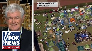 Newt Gingrich: There must be 'accountability' for colleges rife with antiIsrael chaos