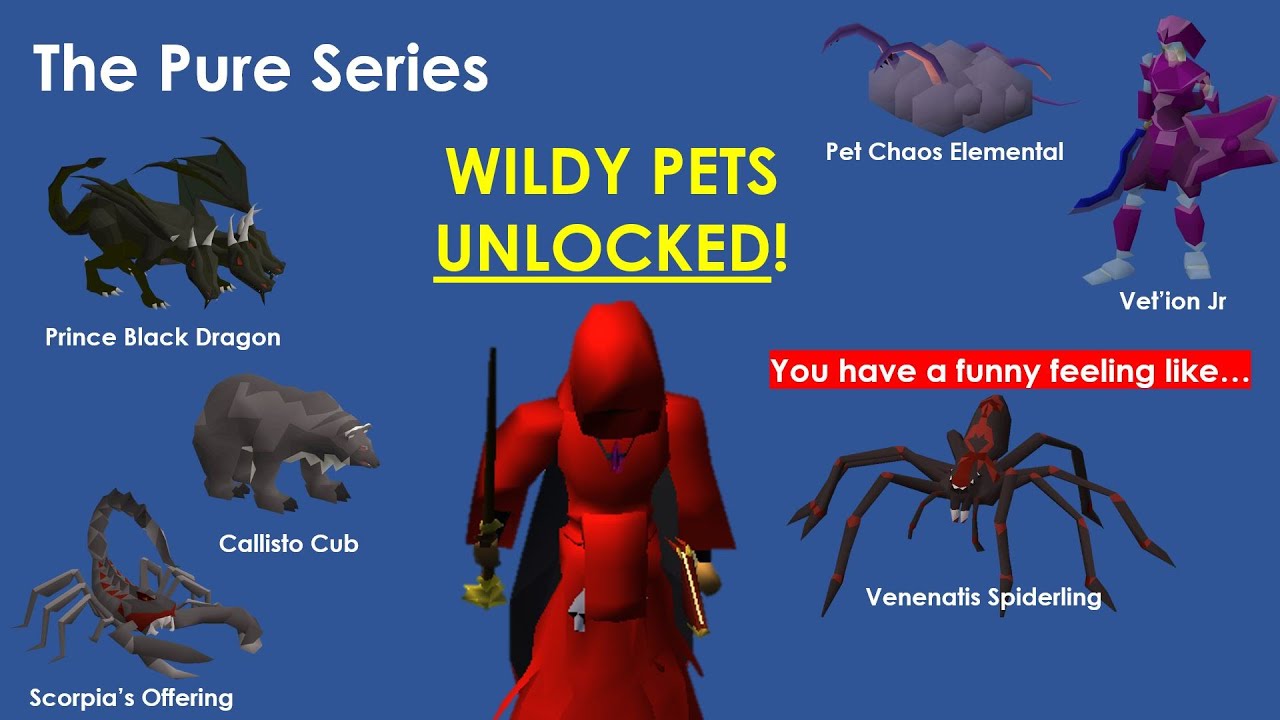 OSRS Pure Series Episode 39 All Wilderness Pets Unlocked (Loot from