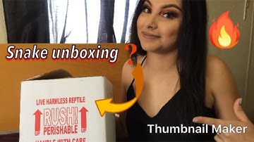BALL PYTHON UNBOXING: My first snake