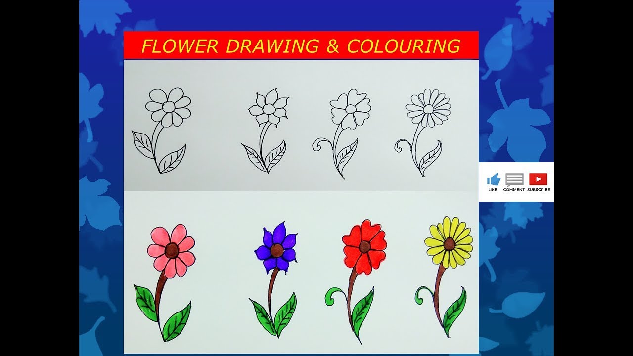 Easy Different Types Of Flowers Drawing With Names - Hakuchuumu