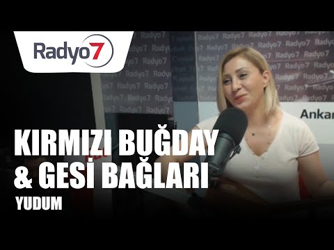 Kırmızı Buğday & Gesi Bağları - YUDUM