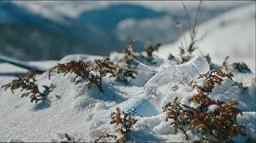 TOMRA Group Transformation Story - Imagine a world without waste