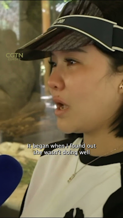 Bringing giant panda Ya Ya home