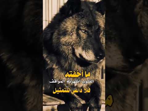 ما اخفته القلوب اظهرته المواقف حالات ابلور اشتراك