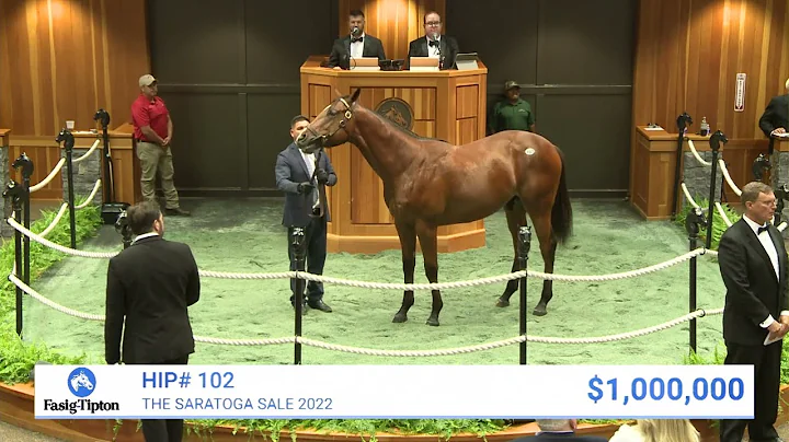 Into Mischief colt o/o Teresa Z sells for $1,000,0...
