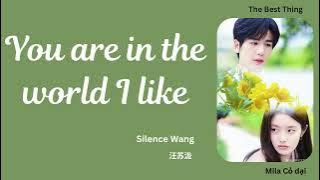 (Engsub/Pinyin)你在我喜欢的世界里 (You Are In The World I Like) - 汪苏泷 (Silence Wang)||爱你 The Best Thing||