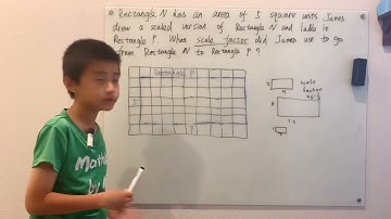 What scale factor did James use to go from rectangle N to rectangle P?